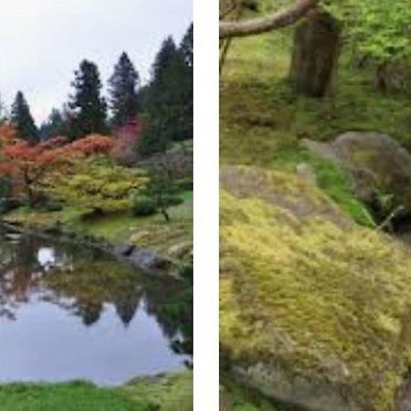 Arboretum Escape Villa Seattle Eksteriør billede